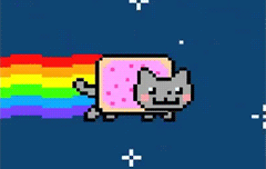 nyan cat gif